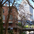 P1020288.JPG