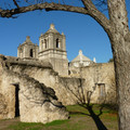 P1020294.JPG