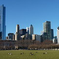 P1020328.JPG