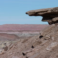 P1020527.JPG