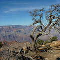 P1020656.JPG
