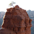 P1020746.JPG