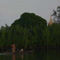 P1010085.JPG