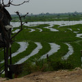 P1010177.JPG