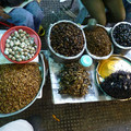 P1010198.JPG