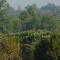 P1010333.JPG