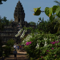 P1010440.JPG