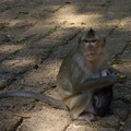 P1010485.JPG