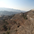 DSC08561.JPG