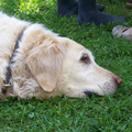 100_0436.jpg