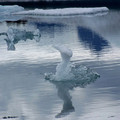 100_3333.jpg