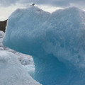 100_3334.jpg