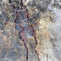 100_3353.jpg