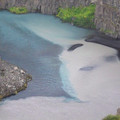 100_3385.jpg