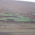 100_3386.jpg