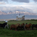 100_3415.jpg