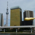 P1030304.JPG