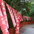 P1030409.JPG