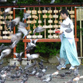 P1030418.JPG