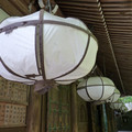 P1030955.JPG