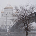 100_4411.JPG