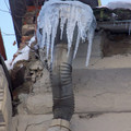 100_4450.JPG
