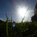 P1010787.JPG