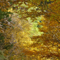 P1010856.JPG