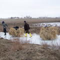 100_3921.JPG