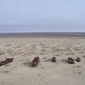 100_3926.JPG