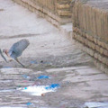 100_4003.JPG