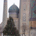 100_4236.JPG