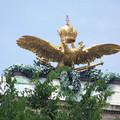 100_2964.JPG