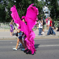 100_3031.JPG